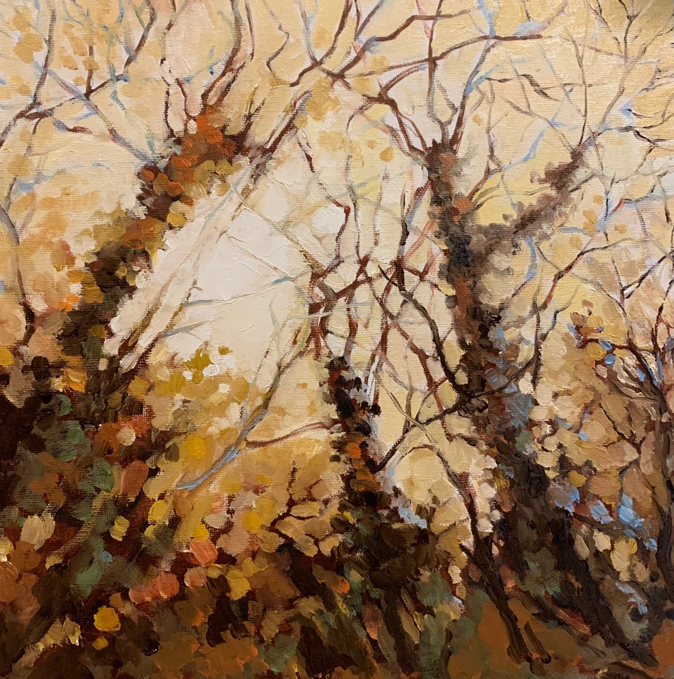 Autumn Golds - 30 x 30 cm - £400